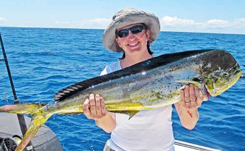 Andrea Wallner from Austria boated this 5kg mahi mahi while on a half-day Cougar One charter to North Reef. Andrea Wallner from Austria boated this 5kg mahi mahi while on a half-day Cougar One charter to North Reef.